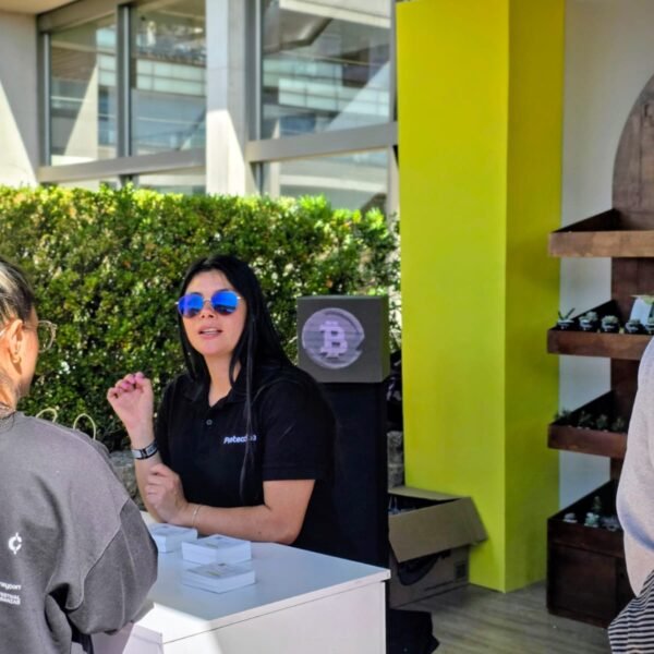 BlockVoz.xyz Proteccion seguros Bitcoin