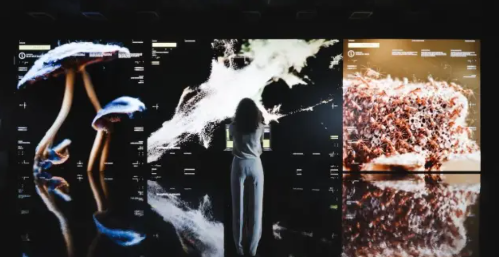 captura de pantalla 2026 06 18 134029